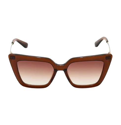 https://accessoiresmodes.com//storage/photos/2339/LUNETTE CALVIN/marron2 (2).png